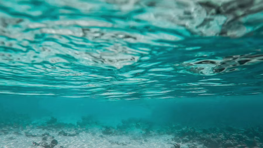 Underwater
